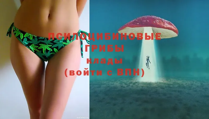 Псилоцибиновые грибы Magic Shrooms  Орёл 